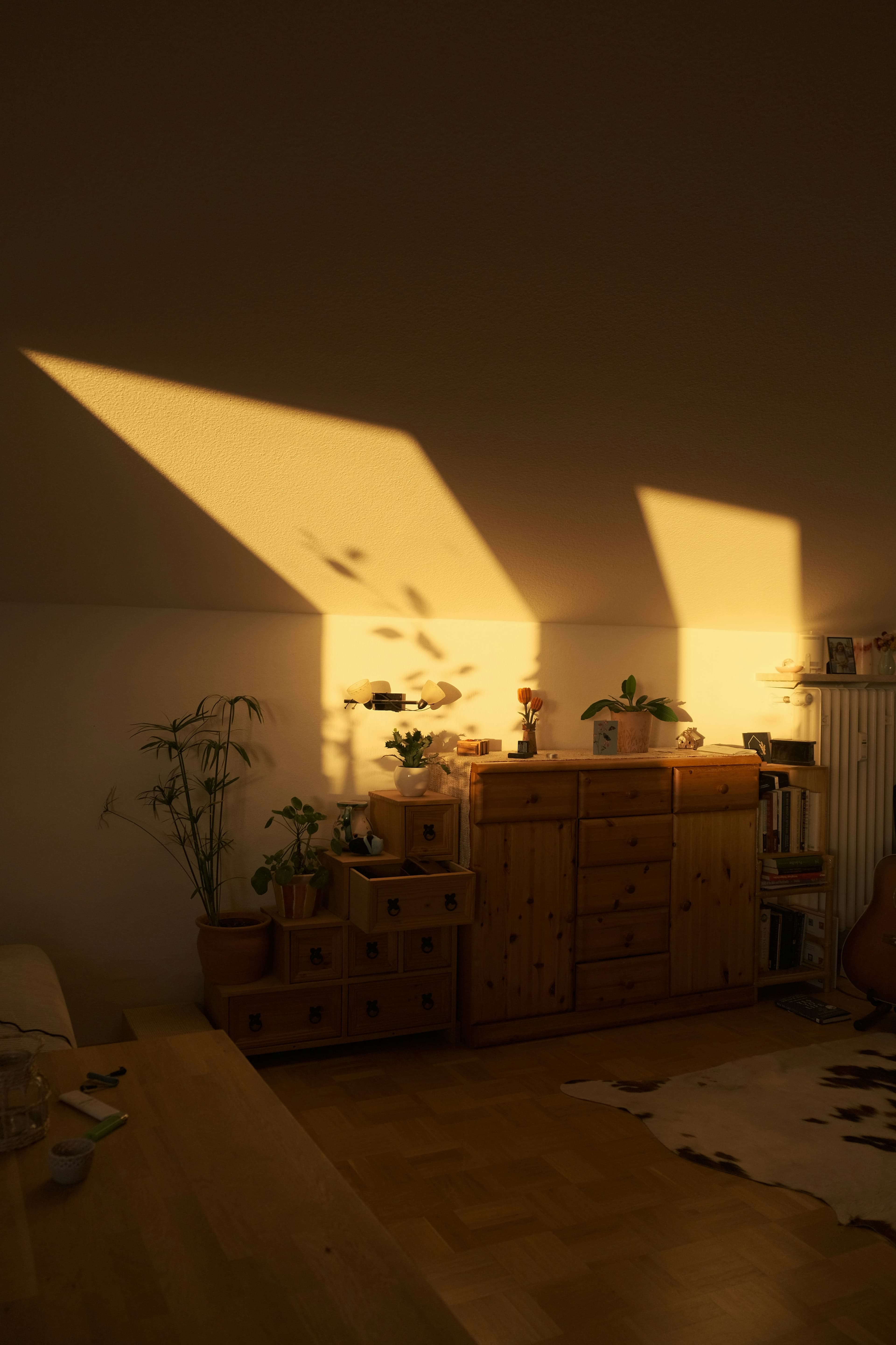 Luz do sol numa sala tranquila com plantas